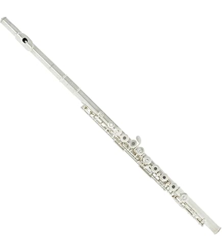 Amazon.co.jp: Bestler ベスラー フルート ケース付 管楽器 - u570