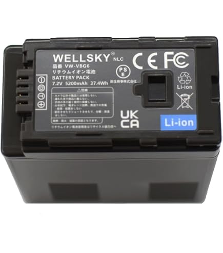 Amazon.co.jp: str VW-VBG6-K/AG-BPS581 互換バッテリー パナソニック