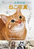 増補版 見るだけで自律神経が整う かわいいねこ写真 (GW MOOK 903)