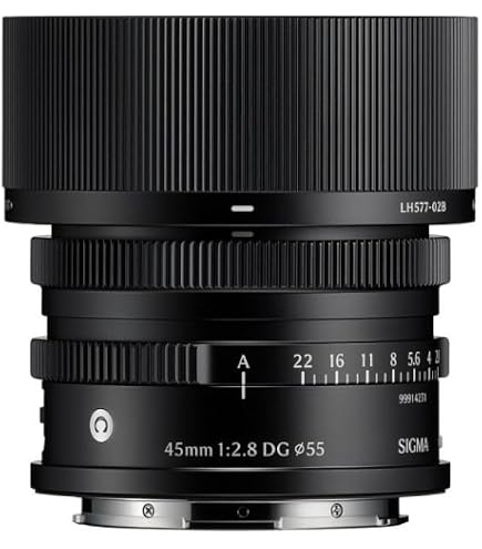 Amazon.co.jp: 35mm F2 DG シルバー Contemporary ライカLマウント 単