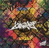KAMIKAZE (+1)