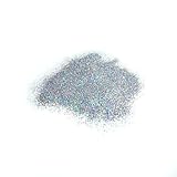 ラメ粉【レインボー0.4ｍｍ】4g