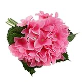 GRALARA結婚式　人工シルク　アジサイ　花束　フラワー　造花　植物　リビングルーム　ベッドサイド　装飾　６色選べる - ピンク