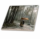 3drose Scenes from the Pastマジックランタンスライド – Japanese Zen Buddhist Monk walking down steps in aライト雨 – タ