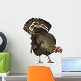 Turkey Wall Decal by Wallmonkeys Peel and Stick Graphic (18 in H x 16 in W) WM68695 [並行輸入品]