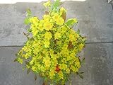 プラスチック人工イエローアプリコットフラワーツリー40 " Tall without The Pot ( Hoa Mai ) requireアセンブリとrequire to have aポット