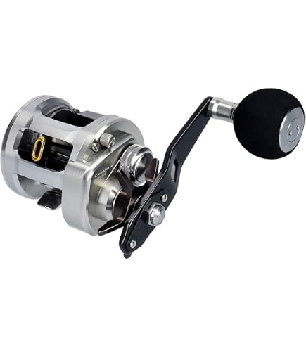 Amazon | Daiwa RYoga 1520HL ラウンドキャスティングリール | ダイワ