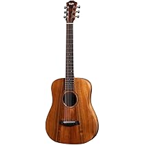 Taylor Baby Taylor-e bt1e ベビーテイラー エレアコ Taylor BT1e エレアコ ミニアコースティックギター テイラー