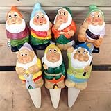 給水ツール（水やり用）：こびとウォーターキーパー*【7個セット】