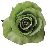 ヴァリエローズ L ライム 61-10001-27