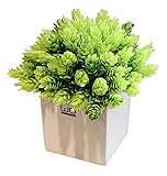 白いセラミックプランターポットと人工植物