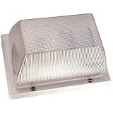 National Brand Alternative 671817 Compact Fluorescent Wall Fixture [並行輸入品]