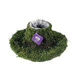 スーパーモス製品共同SPM55570 SuperMossカウボーイハットバスケット