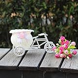chartsea Largeラタン三輪車バイクフラワーバスケット花瓶ストレージパーティー装飾 23cm(Length) ホワイト