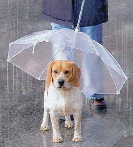 ペット用 傘 小型犬~中型犬くらいまで わんちゃんお散歩用傘 雨の日の散歩も大喜び♪