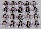 乃木坂46 劇場 缶バッジ全44種フルコンプセット いつのまにか、ここにいる Documentary of 缶バッチ 白石麻衣 与田祐希 映画館