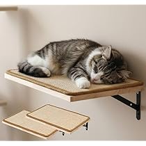 Amazon.co.jp: iimono117 猫 壁付け ステップ 一段 40cm×25cm