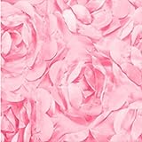 NaiFei新生児9Dローズの花の写真写真の背景ブランケットラグ (ローズレッド)