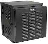 Tripp Lite 12U Wall Mount Rack Enclosure Server Cabinet, Hinged, 20.5" Deep, Switch-Depth, NEMA (SRW