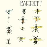 ���̖��̓o���b�g