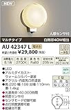 コイズミ照明　アウトドアライト【AU42347L】