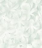 Wilton Stephanotis Petals, 2.5-Inch, White, 300-Pack by Wilton [並行輸入品]