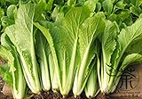 ずっと好き白菜の種子3000個、年次ハーブナパキャベツの葉野菜種子、栄養価グッドパックチェ・種子