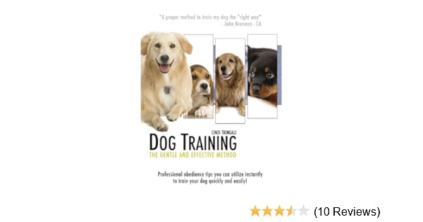 pet gentle dog training