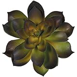 フェイク多肉緑とダークパープルEcheveriaロゼット4.5インチ