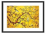 kdnsgfdsブラックソリッド木製フレーム付きアートプリントpicture-birds in the Tree 16 Inch(33 x 43 cm) YS-040