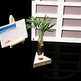 Dovewill ホーム　花瓶　ボトル　インテリア　ガラス　フラワーベース　試験管　水耕栽培　雑貨 飾り　容器　装飾　透明