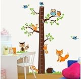 1 X Epie Store(TM) Owl tree jungle animals growth chart nursery wall sticker decor 73"Height removab