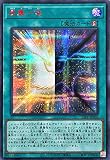 遊戯王 23PP-JP005 表裏一体 SPECIAL RED Ver. レッドシークレットレア シク プレミアムパック2023 ジャンプフェスタ2023