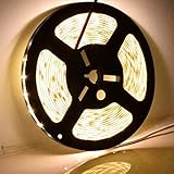 Homelek LED Rope Lights, 300 LED, 16.4 ft, Warm White 3000 Kelvin, Waterproof IP65 [並行輸入品]