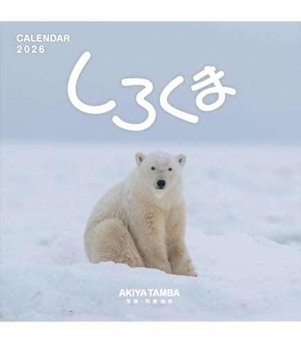 Amazon | 「しろくま」丹葉暁弥 2026年＜卓上＞カレンダー