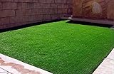 200 seeds/pack Green Source Turfgrass grass Seeds Evergreen Lawn Seeds 200 Seeds