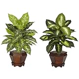 Nearly Natural 6712-AS-S2 Dieffenbachia with Wood Vase Decorative Silk Plant, Assorted, Set of 2 by 