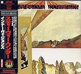 �C���i�[�r�W�����Y