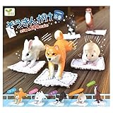 ぞうきんがけ当番 [全5種セット(フルコンプ)]
