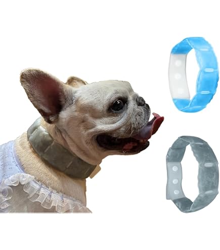 Amazon | 2024新 クールリング ひんやり 冷感 ネッククーラー 犬 首元