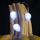 Bendable Copper Wire String Light with 25 LED Skulls - Length 10 Ft. Long - Color White [並行輸入品]