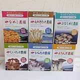 きのこ栽培6種セット：しいたけ・なめこ・ひらたけ・エリンギ・えのき・ぶなしめじ