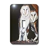 3dRose LLC lsp_3210_1 Barn Owls, Single Toggle Switch
