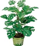 ポピー 観葉植物の造花 スプリットフィロポット 50cm