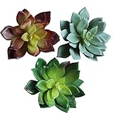 Assortedセットof 3人工多肉植物Cabbage Echeveria Picksフェイク多肉植物3色（グリーン、ソフトグリーン、Plumグリーン)、3.6 "高X 4.4 "花直径
