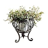 COVENT GARDEN スリーレッグス・コンポート GX-77