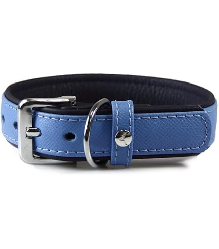 ドイツ製＊新品 DASLEDERBAND 犬用首輪 本革 ボストン XS Amazon | 【水洗い可能！皮膚の弱いワンちゃんに最適！】ドイツ製 高級
