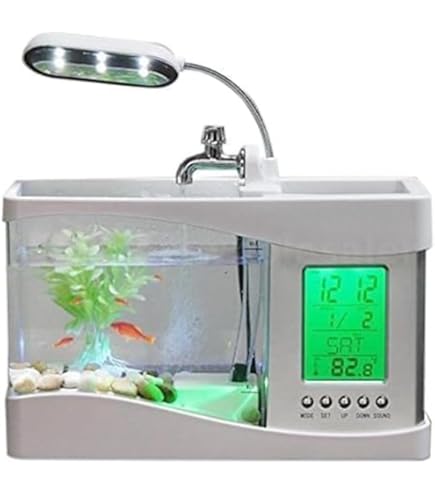 Amazon | 水を入れるだけですぐに始められる ミニチュア