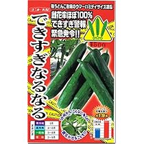おすすめ　きゅうり　胡瓜　82 Amazon.co.jp: キュウリ 胡瓜 種子 ケンシロウ 18粒 きゅうり