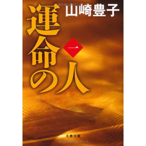 運命の人（小説）